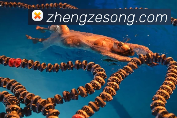 未来规划